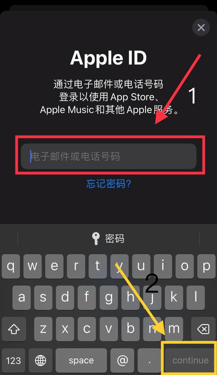 粘贴Apple ID并继续