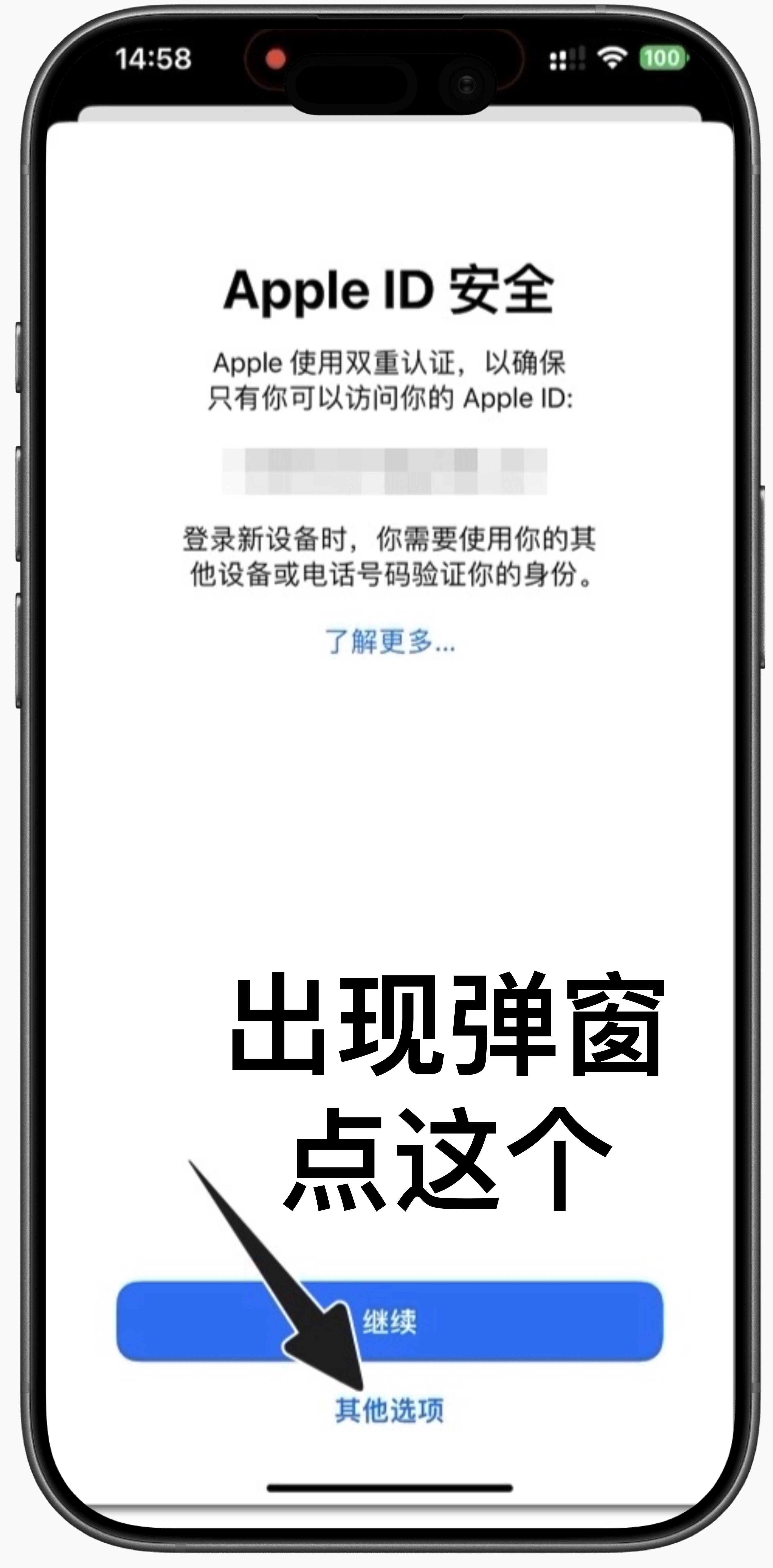 在 Apple ID 安全页面点击其他选项