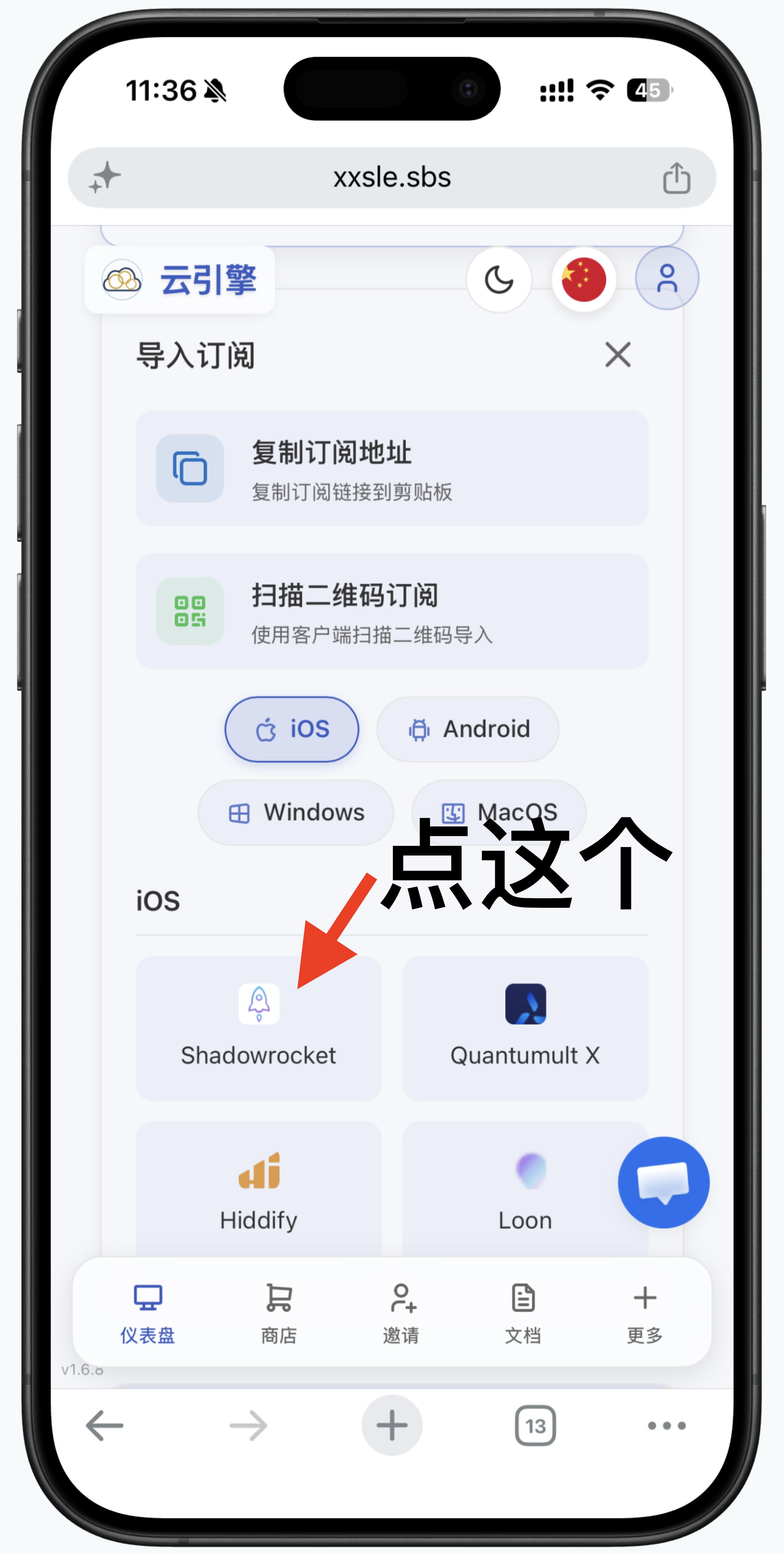 在 iOS 导入选项中点击 Shadowrocket
